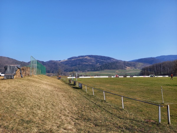 Terrain du Vert-Bois - Montsevelier