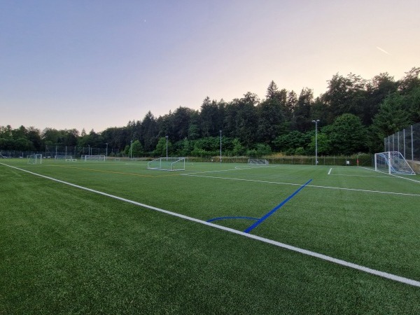 Sportanlage Schützenrain Kunstrasenplatz - Oberentfelden