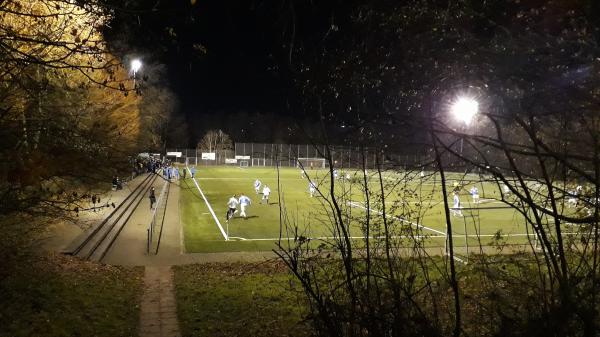 Limes-Stadion Nebenplatz 1 - Schwalbach/Taunus