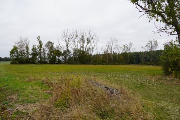 Sportplatz Remkersleben - Wanzleben-Börde-Remkersleben