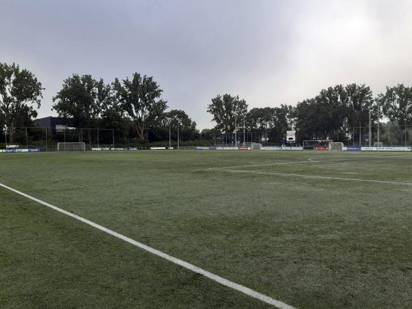 Sportpark West-End veld 6-Groninger Boys - Groningen