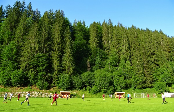 Fritztalarena - Hüttau