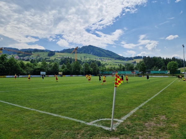 Sportplatz Erlenmoos - Wollerau