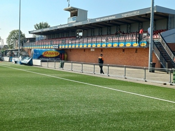 Sportpark De Zwaaier - Werkendam