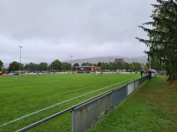 Terrain du Pesant d’Or - Genolier