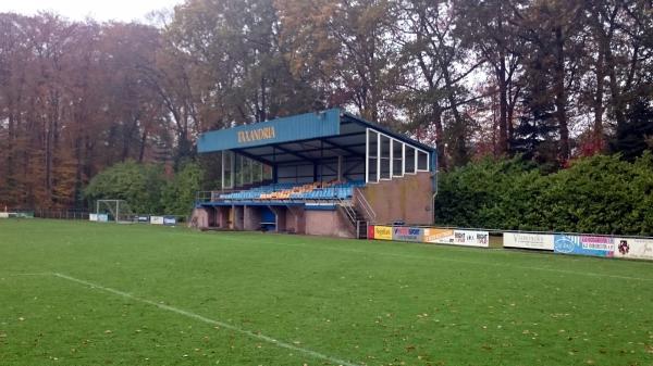 Sportpark De Gemullehoeken - Oisterwijk