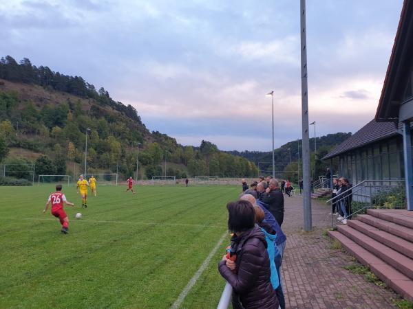 Manfred Volz Sportpark - Horb/Neckar