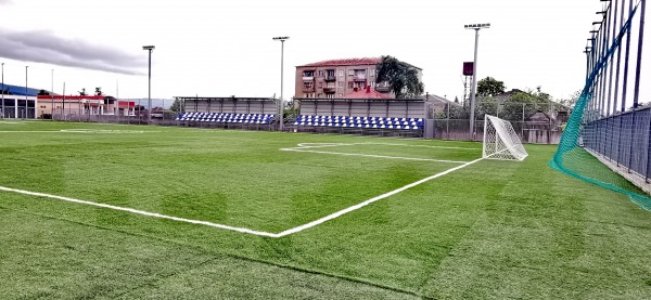 Stadioni Erosi Manjgaladze veli 2 - Samtredia