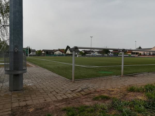 Sportplatz Dr.-Welte-Straße - Weisenheim/Sand