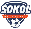 Wappen TJ Sokol Neznašovy  130736