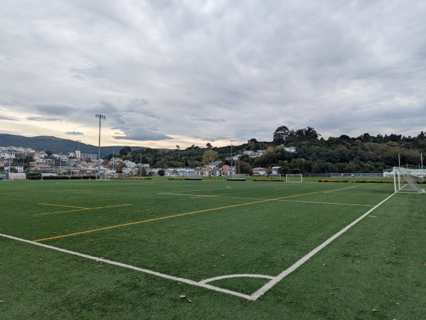 Logan Park Field A2 - Dunedin