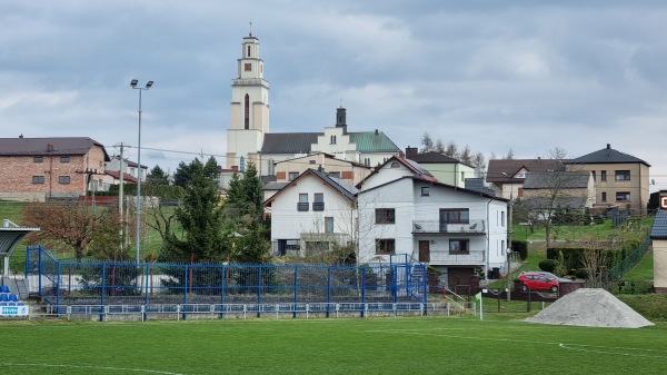 Stadion w Rogów - Rogów