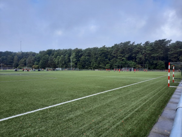 Sportpark Het Nieuwland veld 4 - Rheden-Dieren