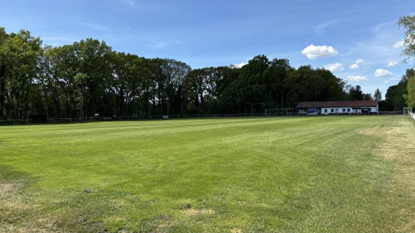 Sportplatz Jahnstraße - Paulinenaue