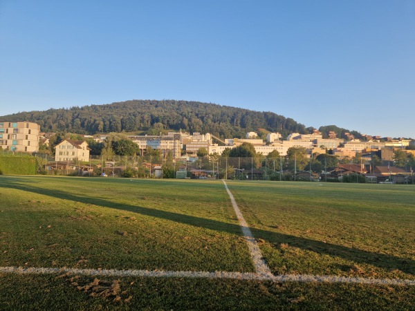 Stadion Lerchenfeld Platz 2 - St. Gallen