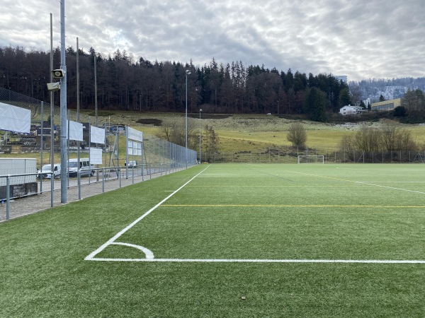 Sportplatz Ruopigen Platz 2 - Luzern