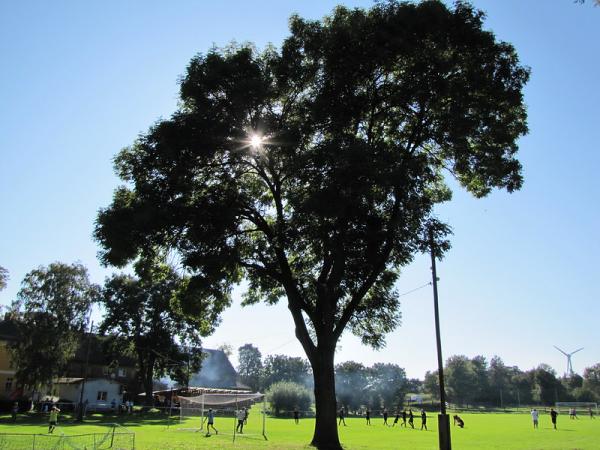 Sportplatz Am Anger - Teuchern-Krauschwitz