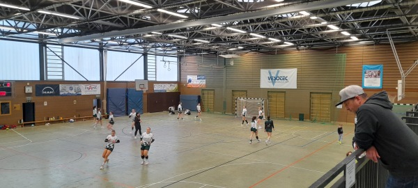 Städtische Sporthalle an der Eversbuschstraße - München