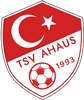 Wappen Türkischer SV Ahaus 1993