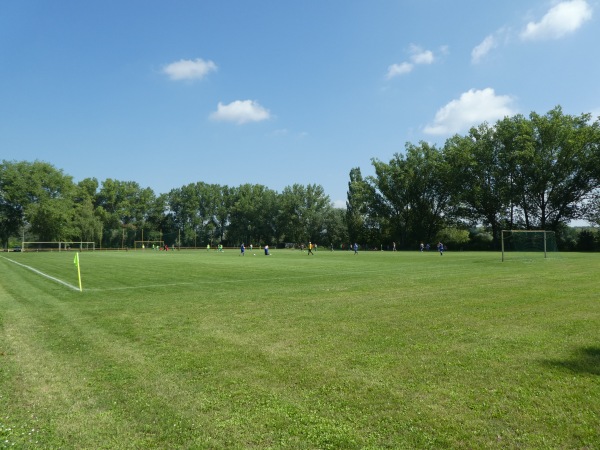 Sportanlage Buschmühlenweg Platz 2 - Frankfurt/Oder-Gubener Vorstadt
