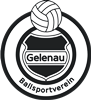 Wappen BSV Gelenau 1926  15272