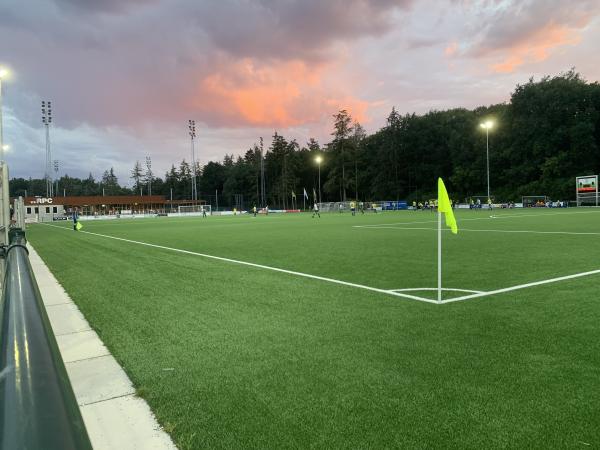 Sportpark De Heihoef veld 1-RPC - Eindhoven