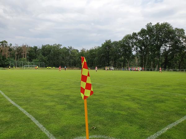 Hřiště Védomice - Vědomice