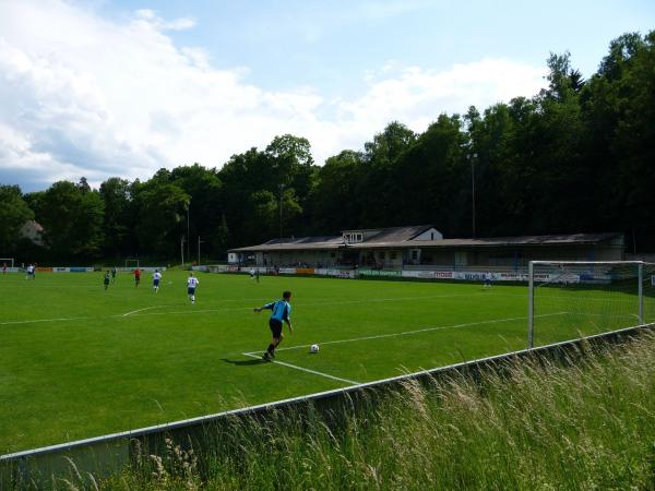 Sportplatz SK Amateure - Steyr