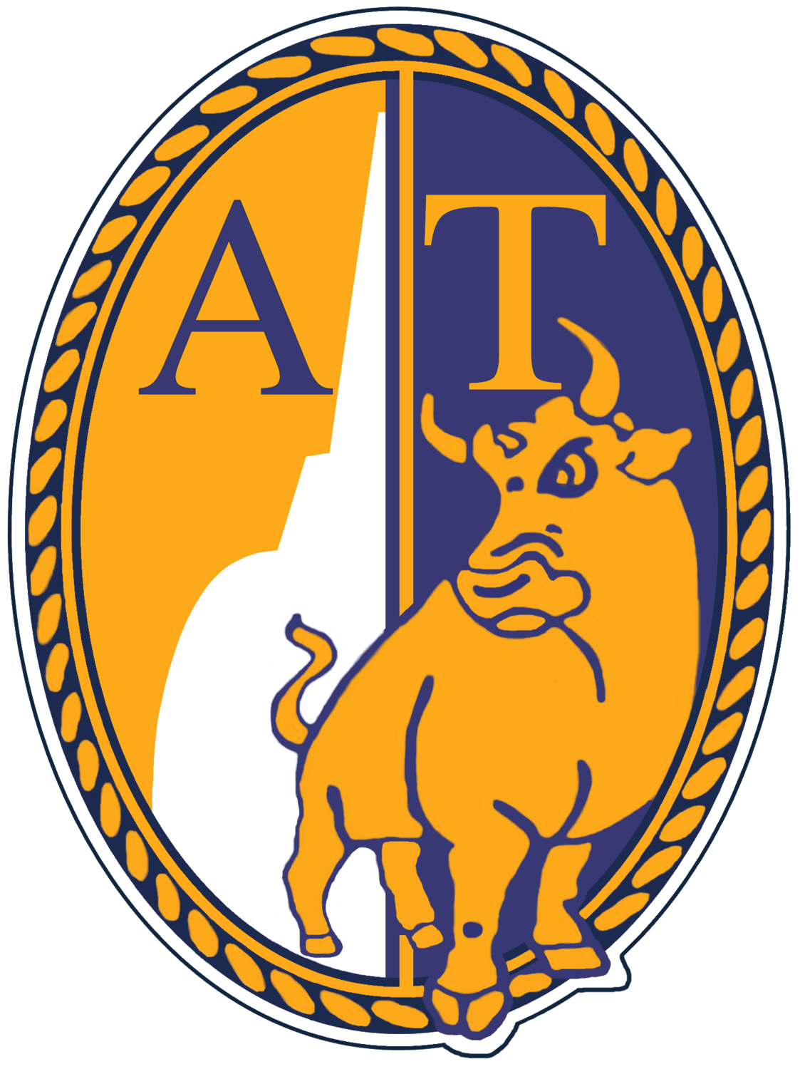 Wappen ASD Atletico Torino