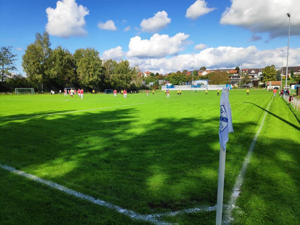 Bichelweiher-Arena - Bodolz-Enzisweiler