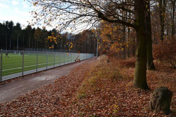 Waldstadion - Wachtberg-Adendorf