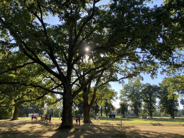 Sportplatz im Park - Luckau-Görlsdorf