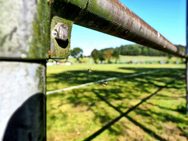 Sportplatz an der Schützenhalle - Balve-Mellen