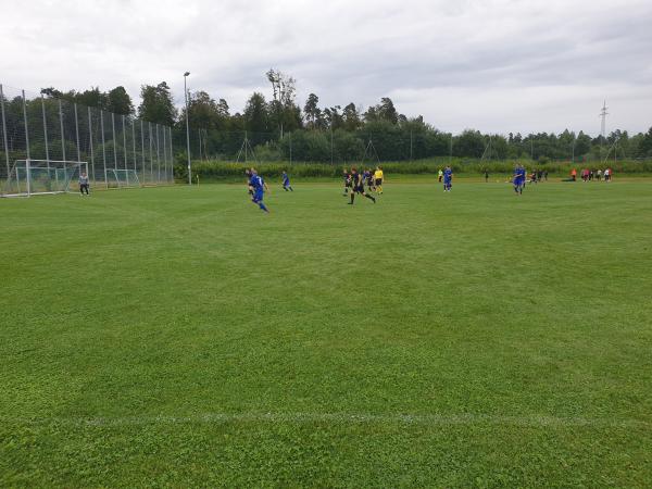 Sportzentrum Eriskirch Platz 2 - Eriskirch
