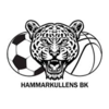 Wappen Hammarkullens BK
