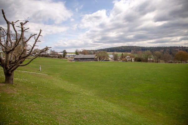 Sportplatz Zottbachtalschule - Pleystein