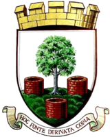 Wappen Wells City FC  88347