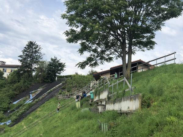 Stade des Ruvines - Cully