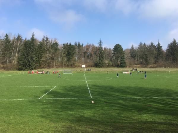 Friesenstadion B-Platz - Husum