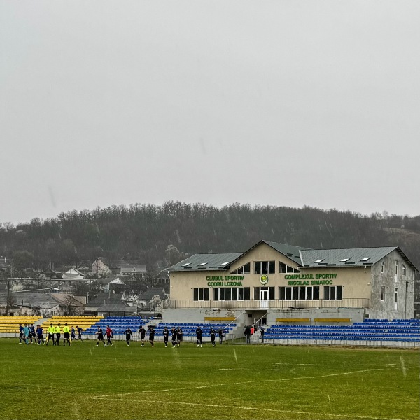 Stadionul Nicolae Simatoc - Lozova