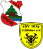 Wappen SpG Stechau/Schlieben III (Ground A)