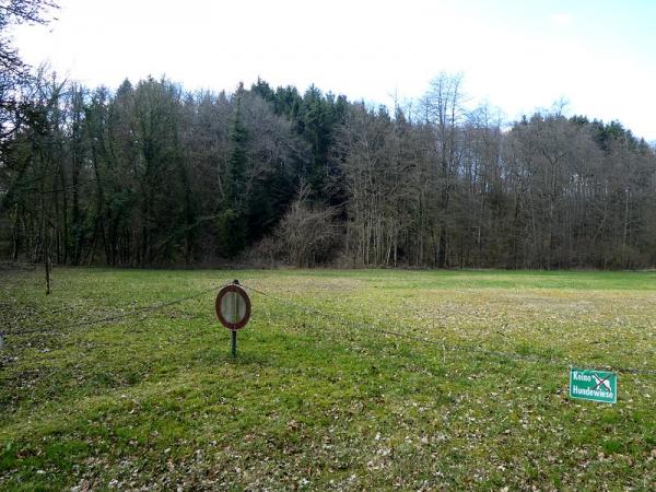 Sportplatz Scheidthecke - Ruppichteroth-Schönenberg