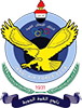 Wappen Al-Quwa Al-Jawiya