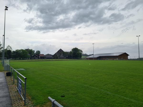 Alter Zustand (Naturrasen)