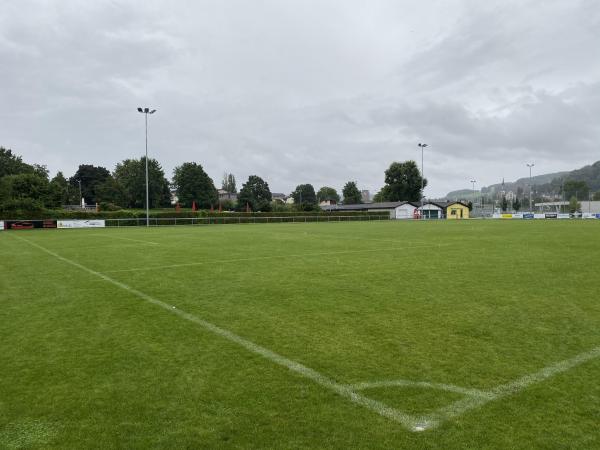 Sportanlage Badmatte - Villmergen