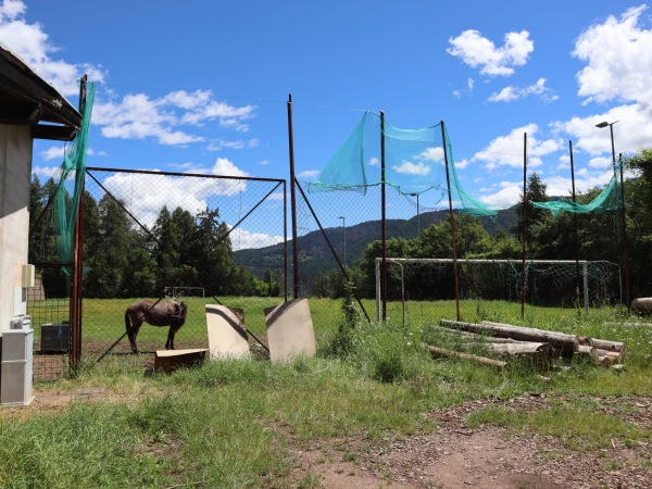 Campo Sportivo di Grumes - Altavalle 