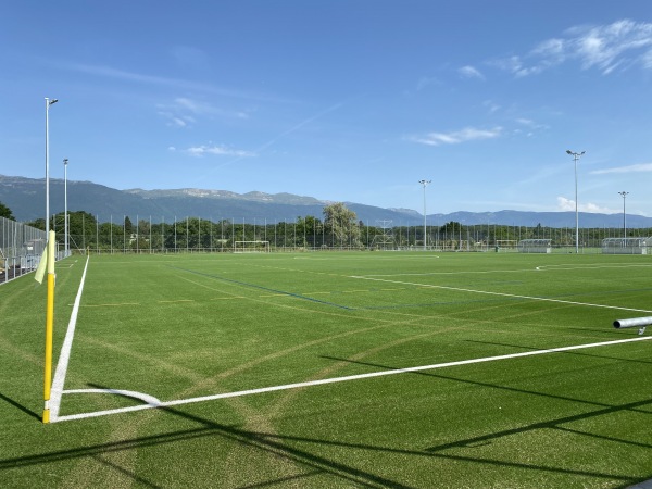 Stade des Arbères terrain F - Meyrin