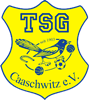 Wappen TSG Caaschwitz 1903 diverse