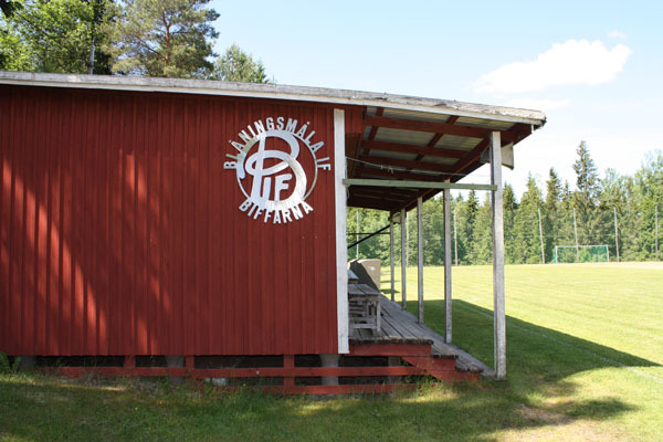 Gökvallen - Blåningsmåla