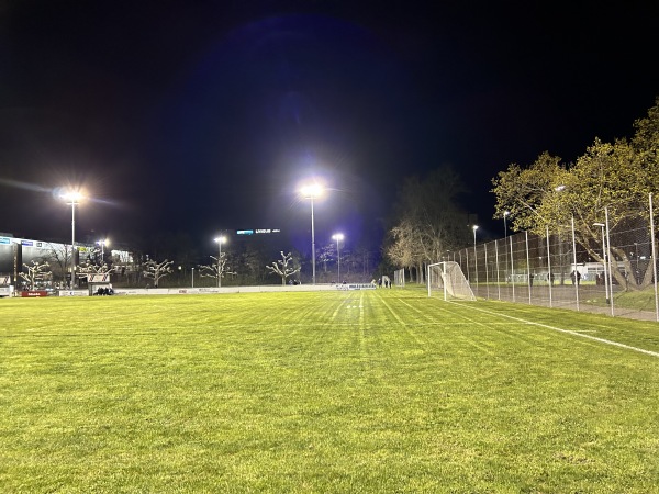 Sportplatz Mittlerzelg Ost - Spreitenbach